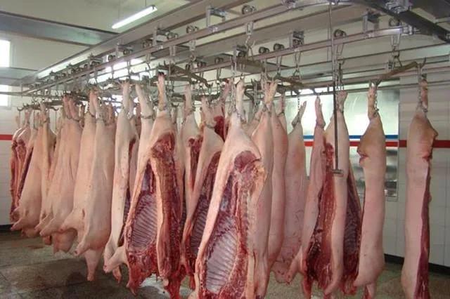 2024年8月瘦肉型白条猪肉出厂价格监测月报公布！透露出什么信号？(图2)