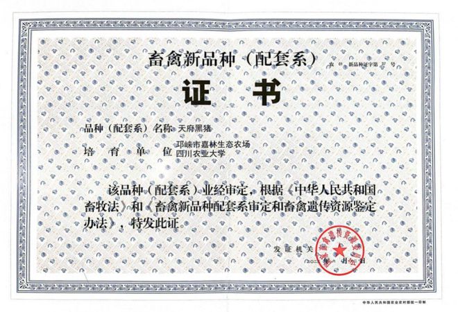 邛崃：深耕“猪芯片” 助力打好生猪种业“翻身仗”(图3)