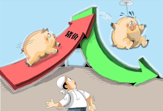 2024年10月31日养猪业重要信息汇总(图4)