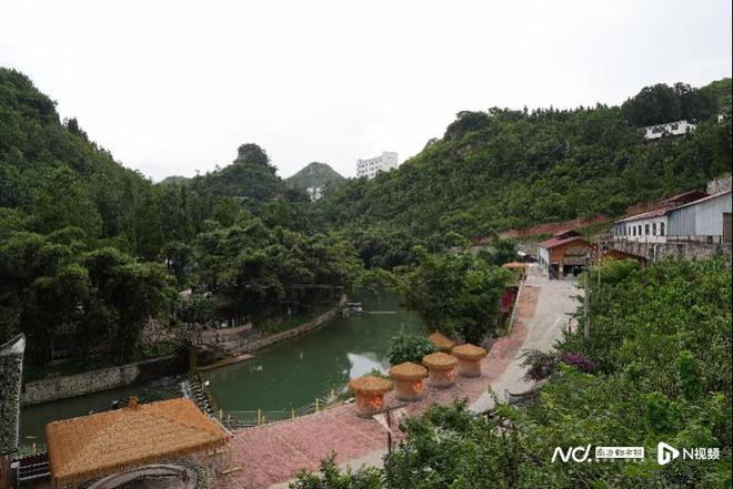 熊猫体育资讯：“岩脚面”跨越山海远销跑山猪“跑进”大湾区(图2)