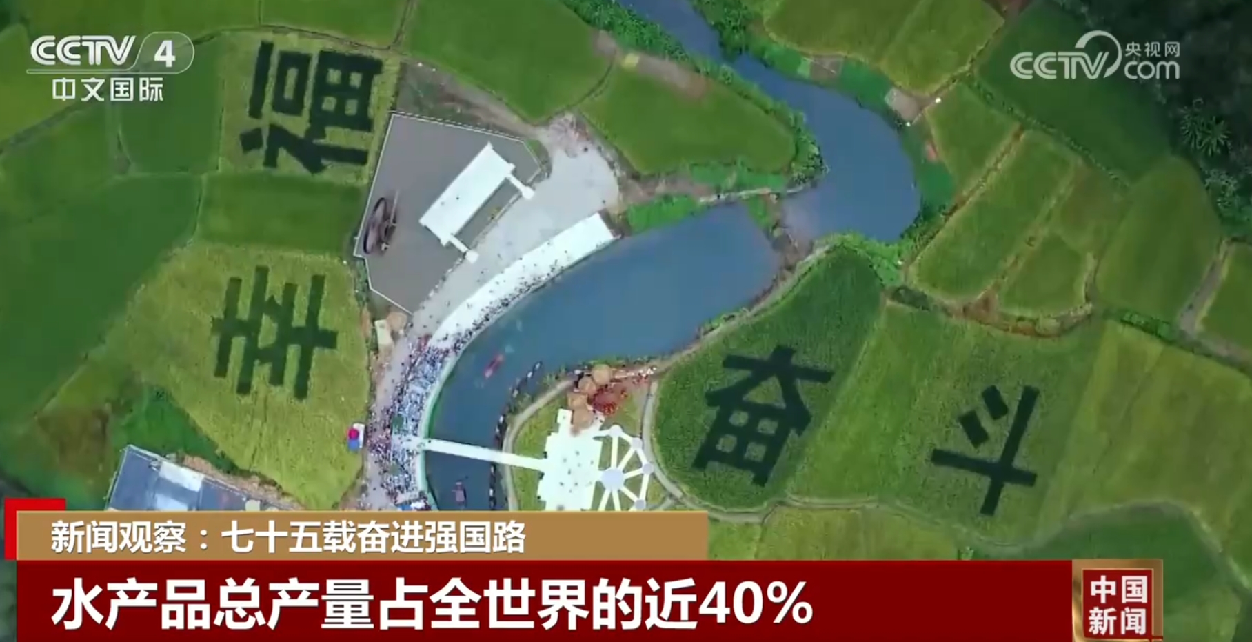 七十五载奋进强国路 “硬核”数据见证农业大国向农业强国迈进(图5)