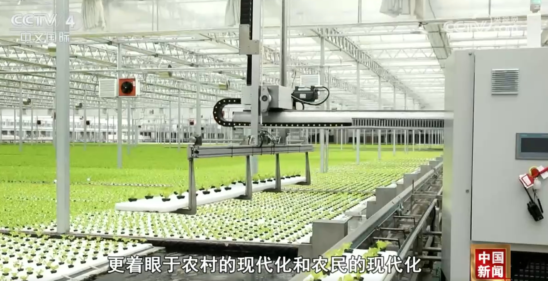 七十五载奋进强国路 “硬核”数据见证农业大国向农业强国迈进(图8)