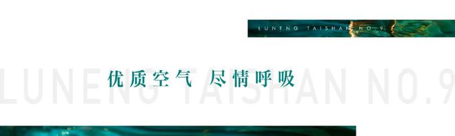 苏州相城鲁能泰山9号2024官方网站鲁能泰山9号官方详情上海房天下(图7)