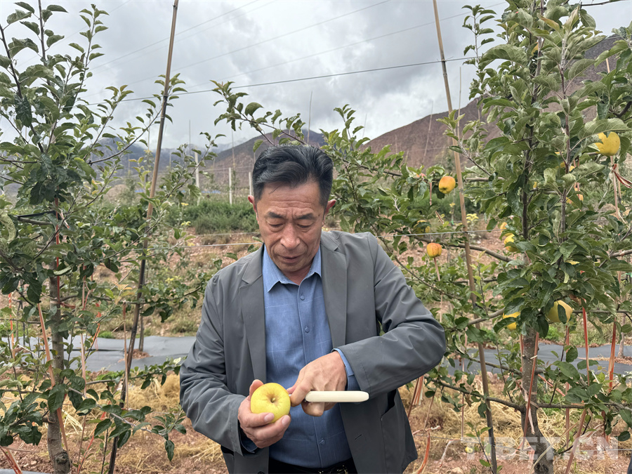 熊猫体育资讯：昌都八宿：国道汇织“产业梦”(图8)