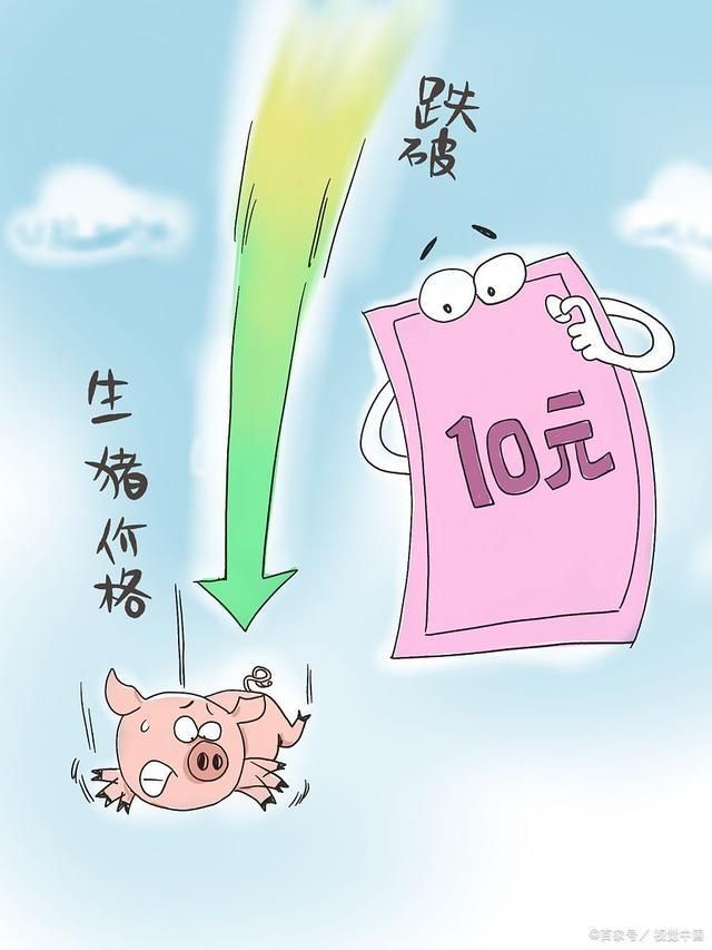 熊猫体育资讯：2024 下半年猪价、粮价有望全面上涨好消息快来了解(图3)