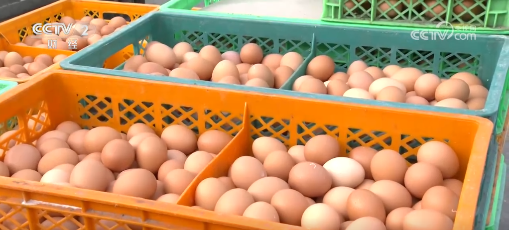 加强“菜篮子”供应能力 主要产品价格呈现稳中有降态势(图4)