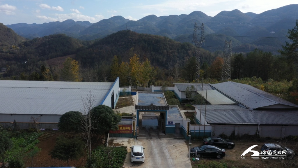 建始“硒都黑猪”入选2024中国农业农村重大科技新成果(图4)