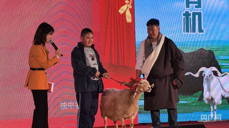 熊猫体育：感受泽库冬日魅力 品尝草原醇香美味(图2)