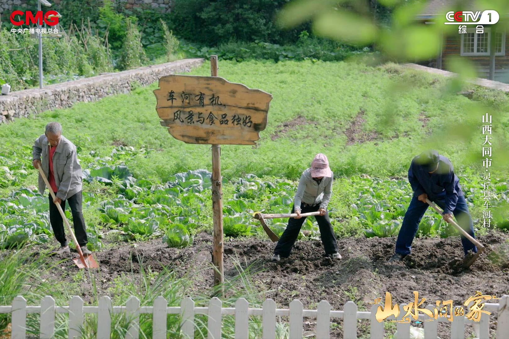 熊猫体育资讯：车河生态兴黔地刺梨香《山水间的家》邀您怡然山水间！(图8)