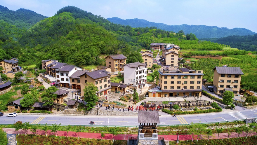 熊猫体育：勠力打造山地特色高效农业(图2)