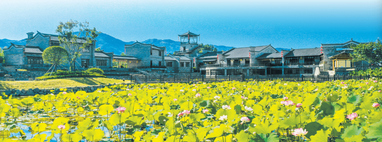 熊猫体育：勠力打造山地特色高效农业(图3)