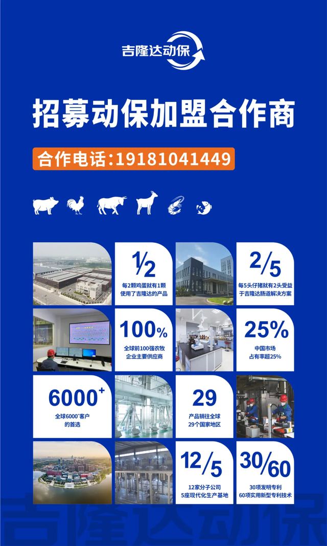 猪价跌荡！育肥猪提前20天增重出栏可能吗？(图6)