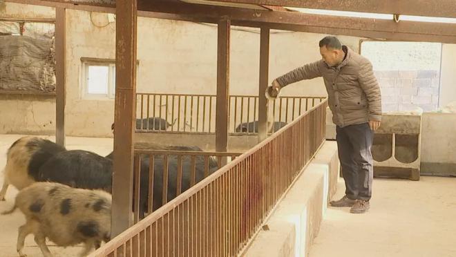 熊猫体育：董积清：窑洞里的“致富经”(图3)