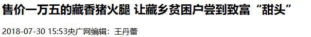 熊猫体育资讯：藏民口中的“人参猪”：吃虫草、喝山泉长大一条腿卖1万5(图10)