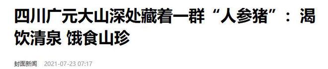 熊猫体育资讯：藏民口中的“人参猪”：吃虫草、喝山泉长大一条腿卖1万5(图15)