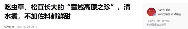 熊猫体育资讯：藏民口中的“人参猪”：吃虫草、喝山泉长大一条腿卖1万5(图20)