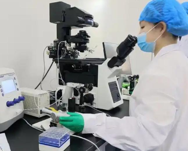 西藏的天价“藏香猪”吃虫草、松茸长大一条腿价值1万5(图17)