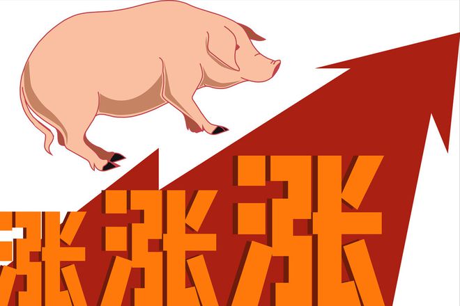 猪价下跌“一片绿”！2天内猪价上涨势在必行3个利好在路上！(图4)