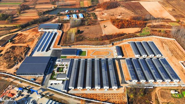 确山：湖羊生态园 年底展新颜(图2)