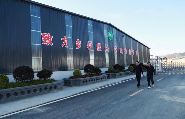 确山：湖羊生态园 年底展新颜(图4)