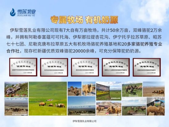 追本溯源 见证品质 这家新疆特乳企业再获国家双有机认证(图4)