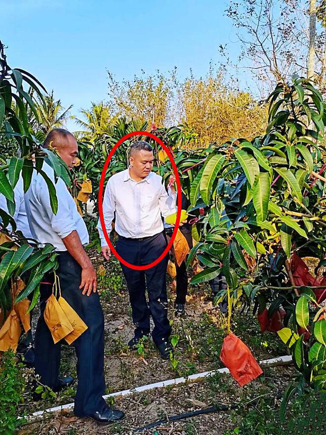 县领导出轨人妻：不雅聊天流出亲密合照曝光官方通报信息量大(图7)