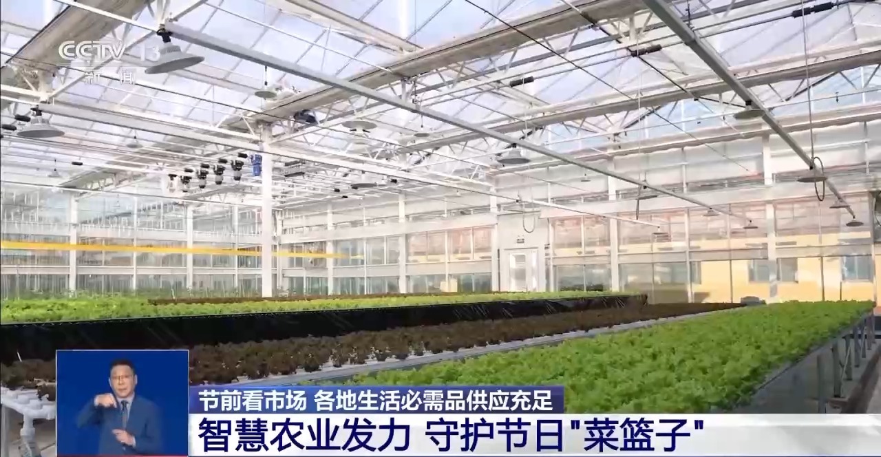 市场迎来消费高峰 “米袋子”“菜篮子”满满当当(图5)