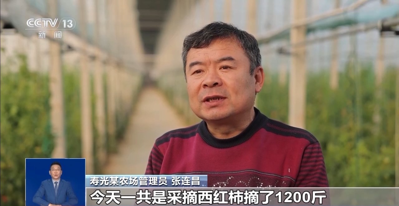 市场迎来消费高峰 “米袋子”“菜篮子”满满当当(图4)