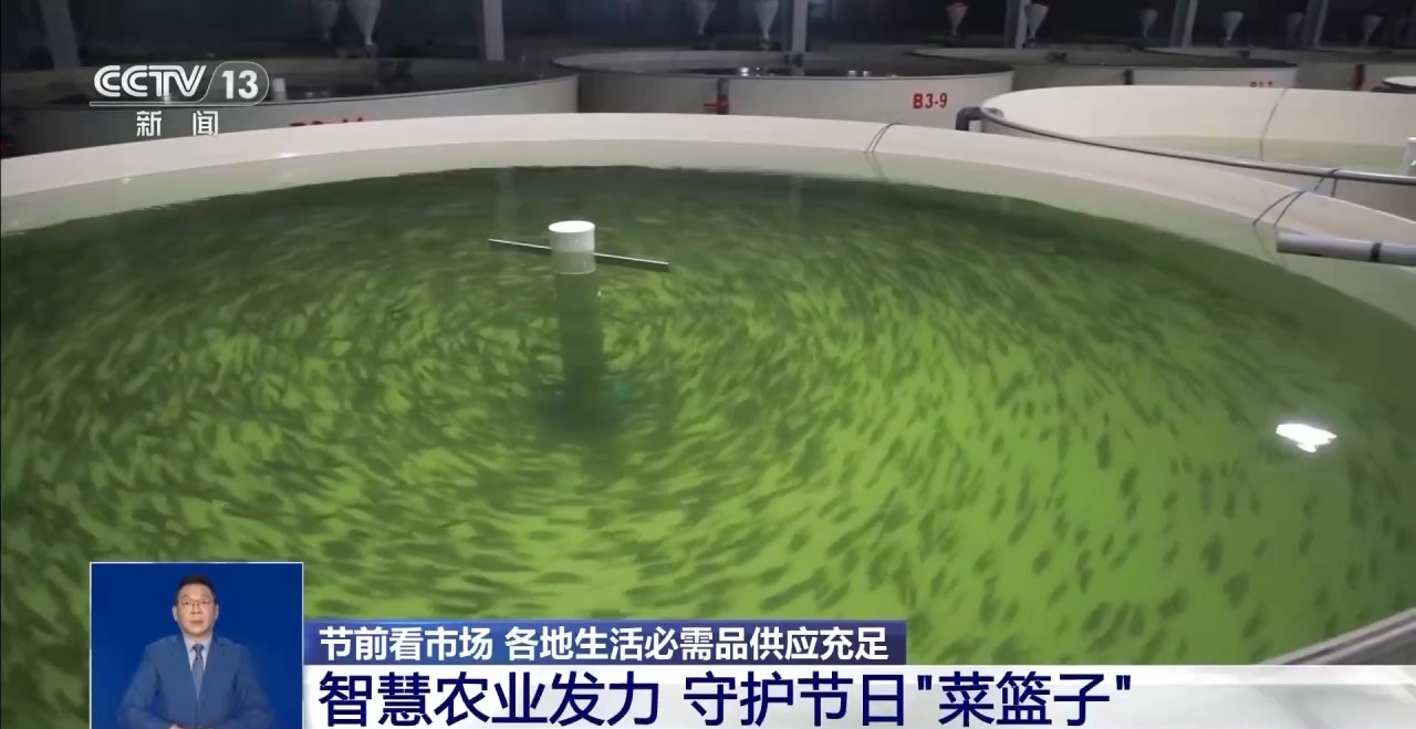 市场迎来消费高峰 “米袋子”“菜篮子”满满当当(图7)