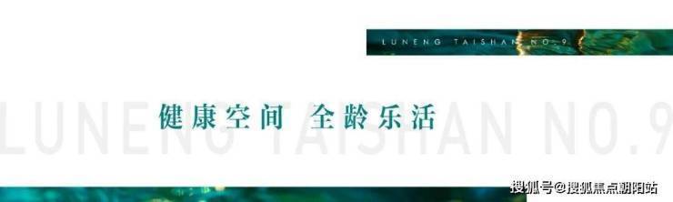 鲁能泰山9号(售楼处)​鲁能泰山9号电线号价格配套户型停车位(图6)