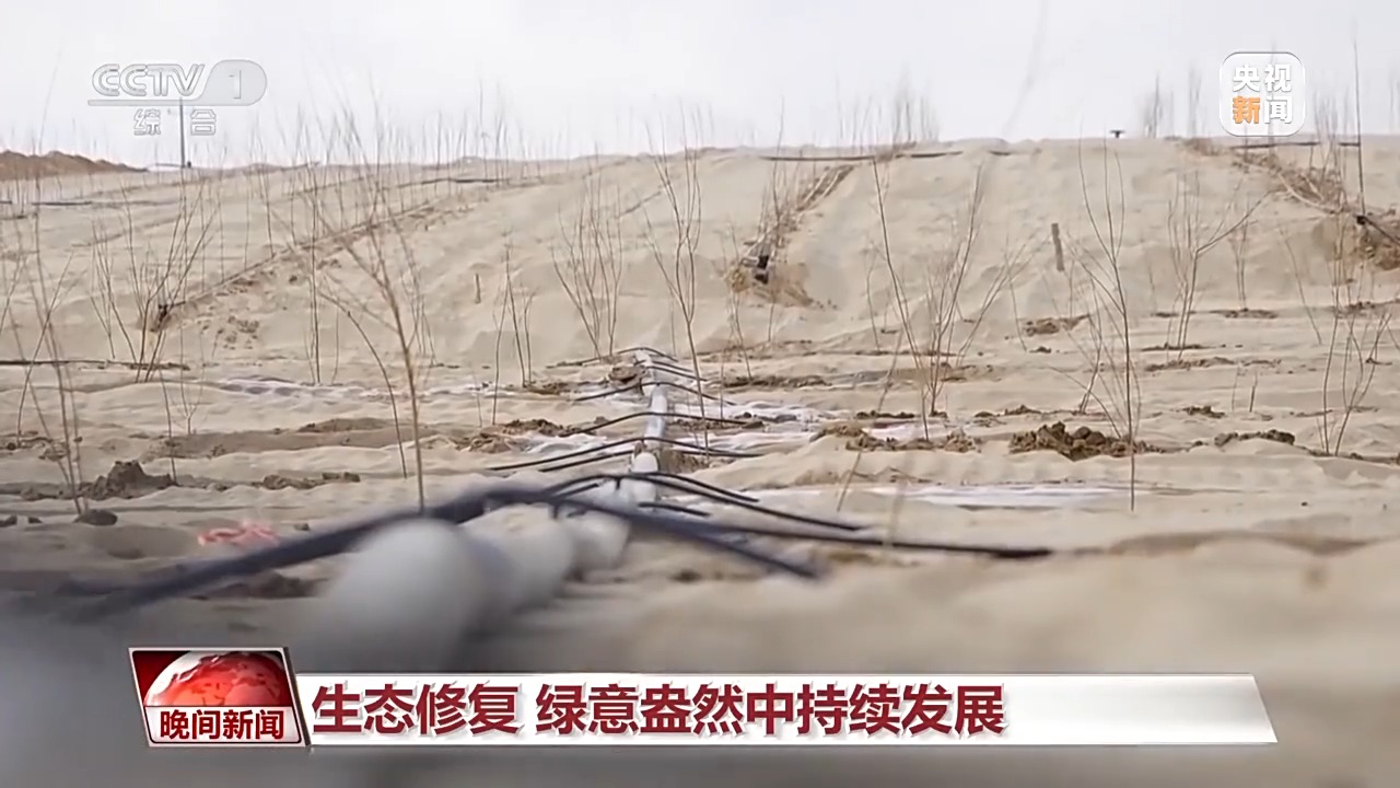 多维度 很亮眼！我国绿色发展交答卷(图7)