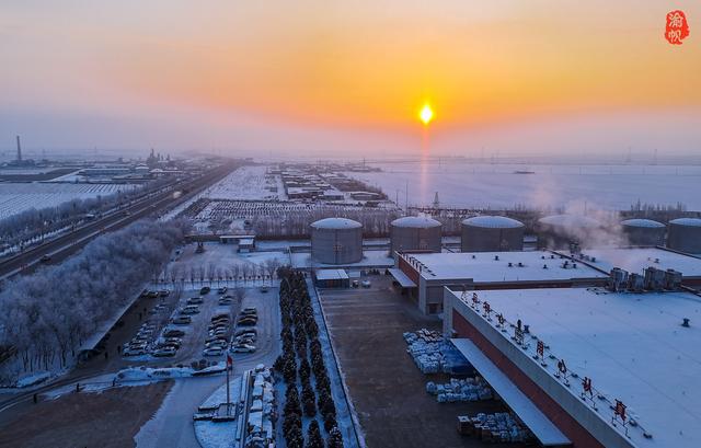 走进新疆博乐参观天莱农牧了解牛肉从牧场到餐桌的生态之旅(图4)