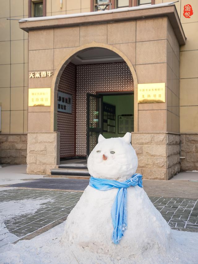 走进新疆博乐参观天莱农牧了解牛肉从牧场到餐桌的生态之旅(图5)