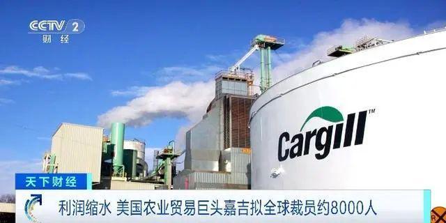 熊猫体育资讯：彭进：谈谈2024年养猪业十大事件(图5)