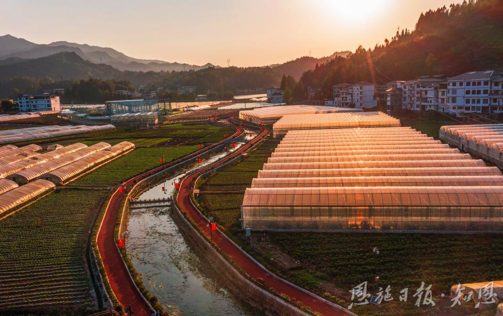 熊猫体育资讯:大利之川 - 三峡宜昌网(图2)