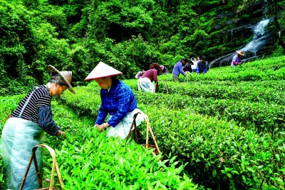 熊猫体育资讯:满目青翠 绿富同兴——福建南平统筹推进生态保护与绿色发展的实践探索(图2)