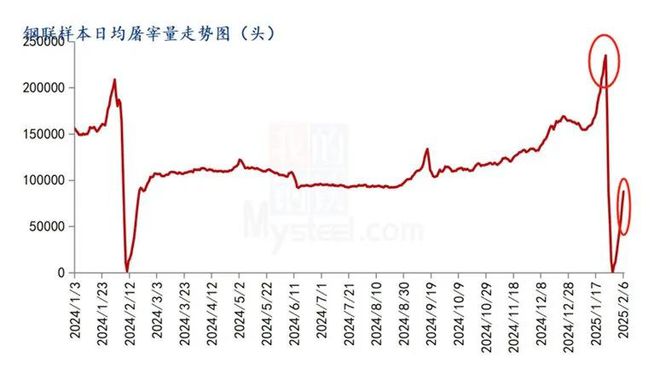 日均出栏同比增加343% 生猪价格下行或更加明显(图2)