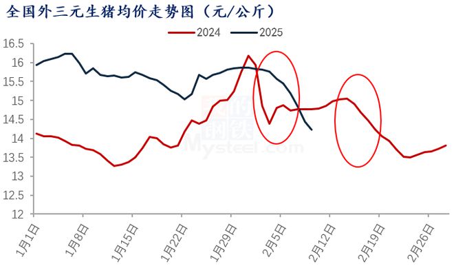 日均出栏同比增加343% 生猪价格下行或更加明显(图7)