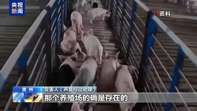 熊猫体育资讯：假养猪 真骗局 警惕披着“云养经济”外衣的非法集资(图3)
