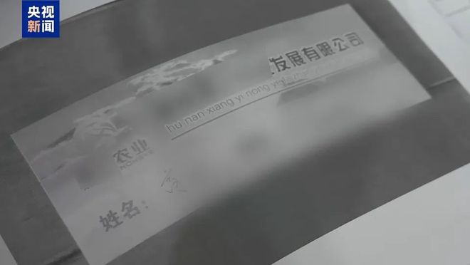 假养猪 真骗局 警惕披着“云养经济”外衣的非法集资 来听新闻(图6)