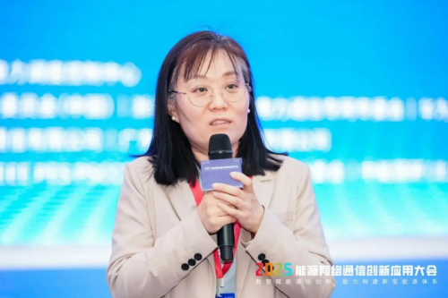 2025年能源网络通信创新应用大会在杭州召开(图17)