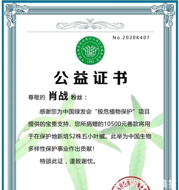 把绿能产业升级为零碳工业(人与自然走进零碳园区(工厂)看转型)