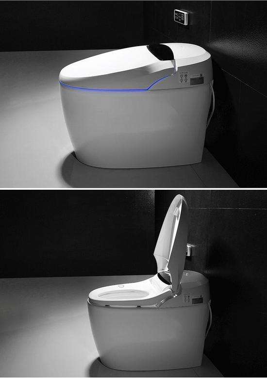 2024年智能马桶相关项目经营管理报告