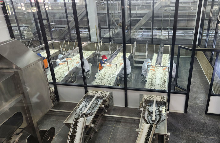 熊猫体育:奋勇争先再上台阶——福建爱拼敢赢展现经济韧劲(图5)