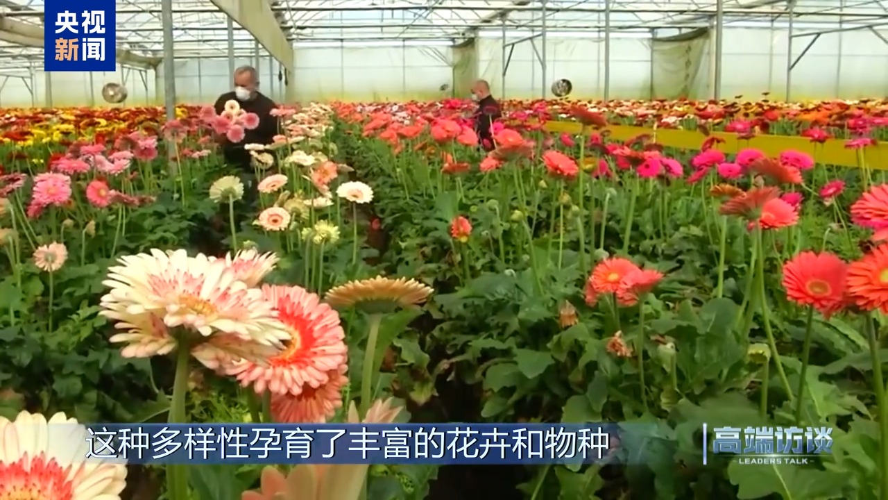 高端访谈丨专访哥伦比亚总统佩特罗(图18)