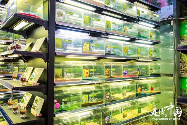 “走读中国” 中外媒体探访内蒙古：解码草原牧业的科技赋能与生态突围(图3)