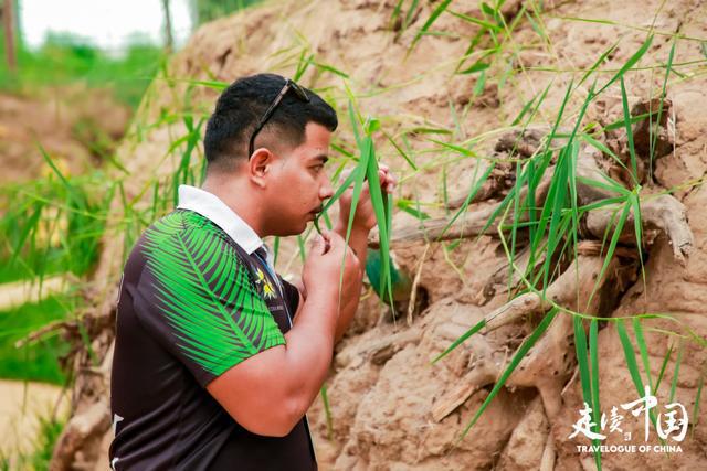 “走读中国” 中外媒体探访内蒙古：解码草原牧业的科技赋能与生态突围(图4)