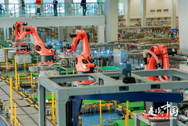 “走读中国” 中外媒体探访内蒙古：解码草原牧业的科技赋能与生态突围(图7)