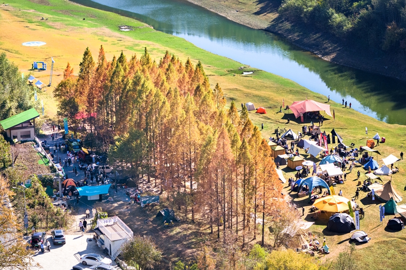 绿色创新点燃世界现代化新引擎——“中国发展实践的文明启示”系列述评之二(图2)