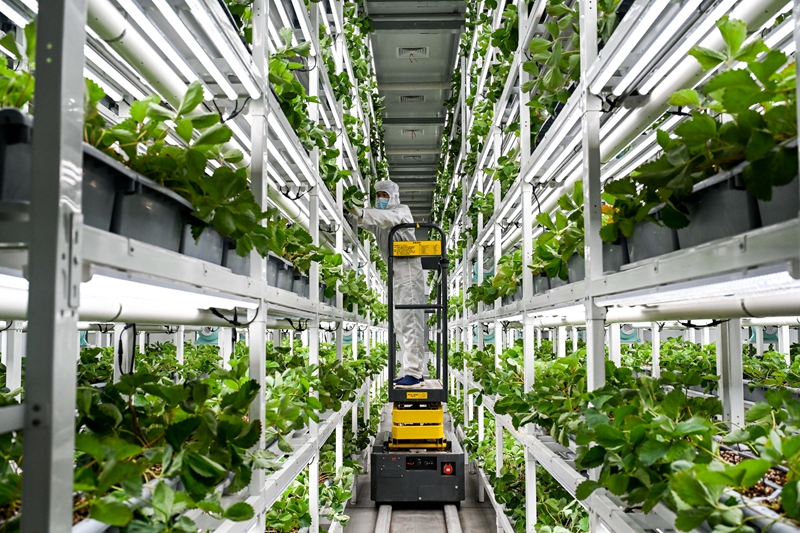 绿色创新点燃世界现代化新引擎——“中国发展实践的文明启示”系列述评之二(图3)